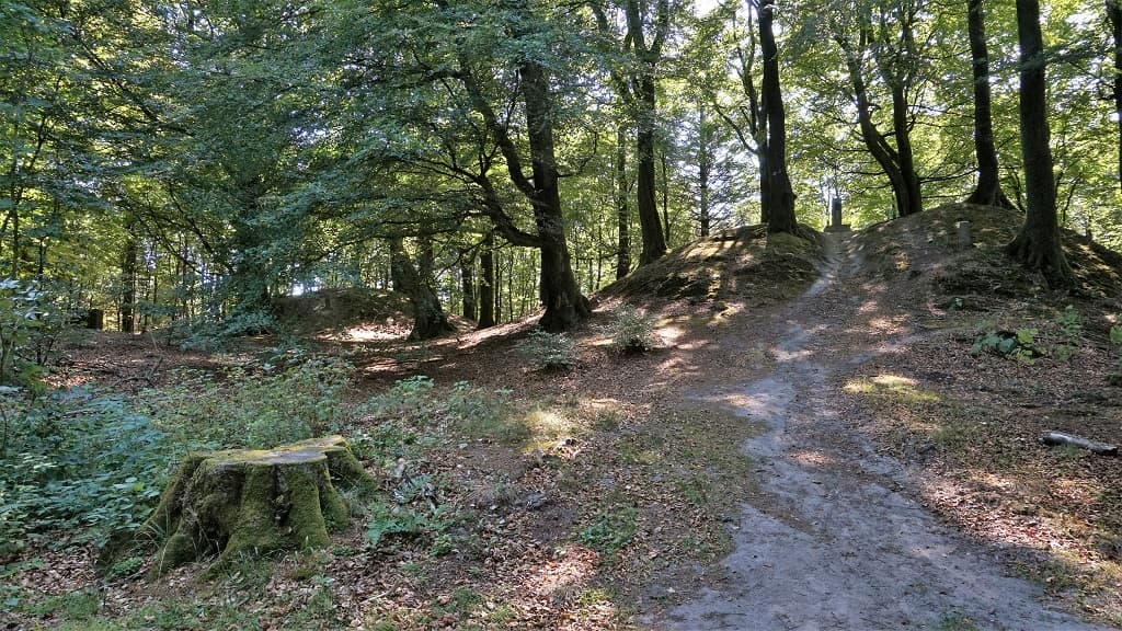 Die Bergkette Jyske Ås 