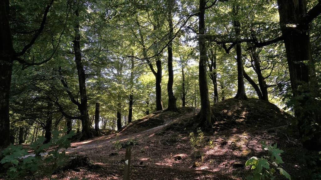 Die Bergkette Jyske Ås 