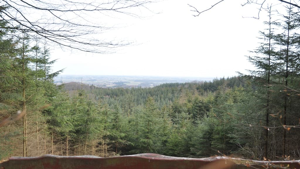 Die Bergkette Jyske Ås 