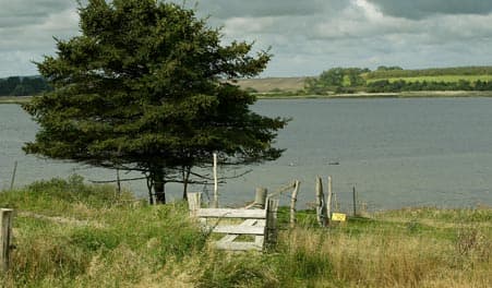 Sporet ved Venslev Huse