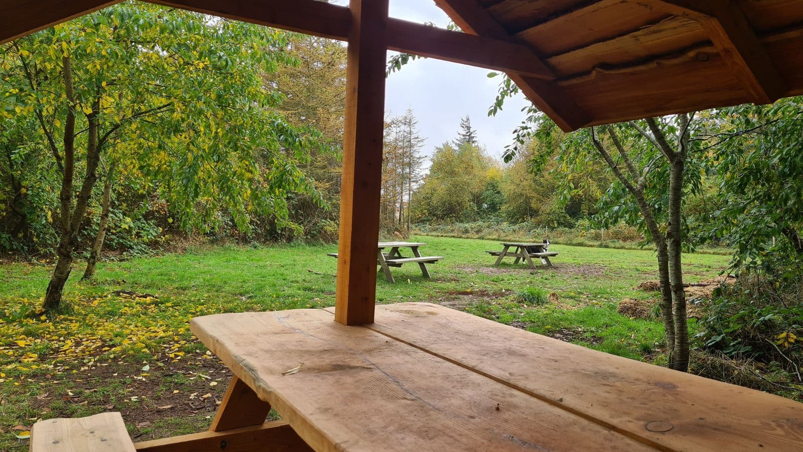Løkken Hundepark