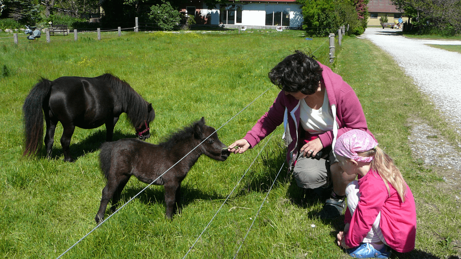 Famlily Farm Fun Park