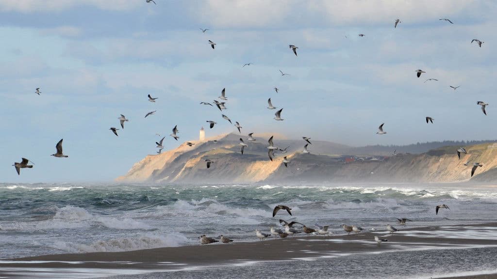 Lønstrup Steilküste