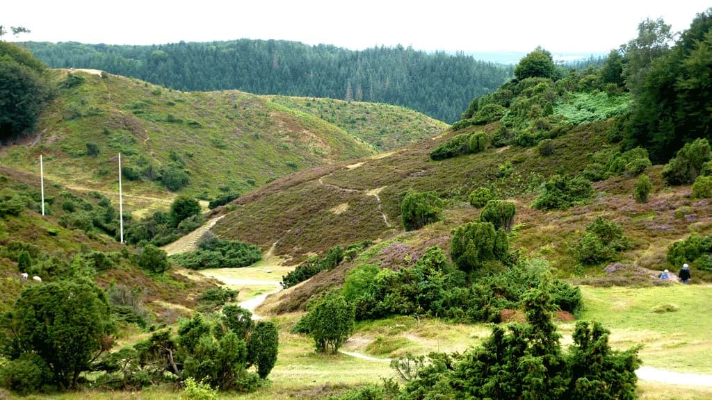 Nationalpark Rebild Bakker 