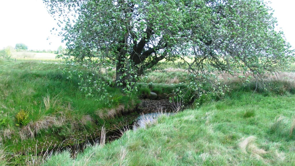 Borremosefæstningen (Borremosefestung) 