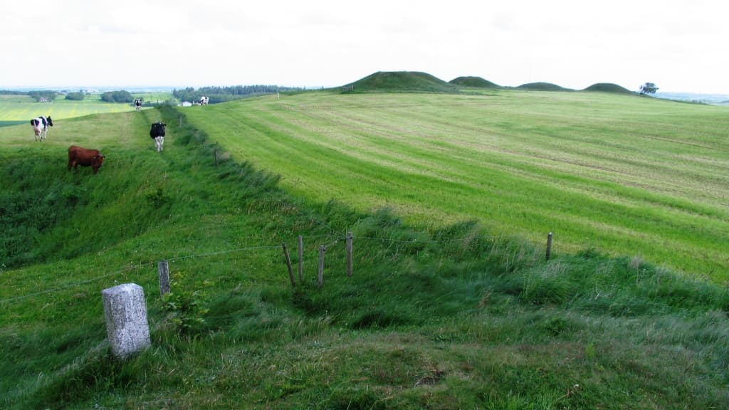 Frendrup Nihøje 