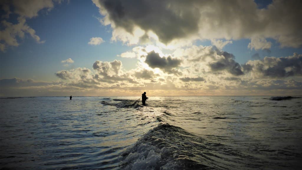 Hedebo Strand Camping