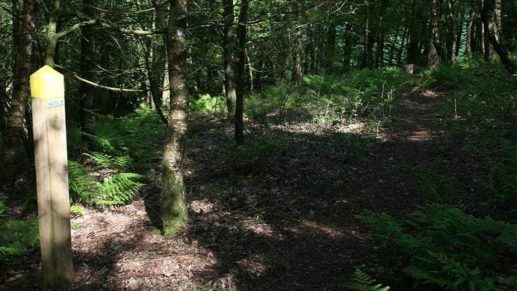 Geschützstand in Dover