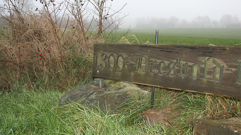 Dresvold, Reste einer Burg bei Skodborg