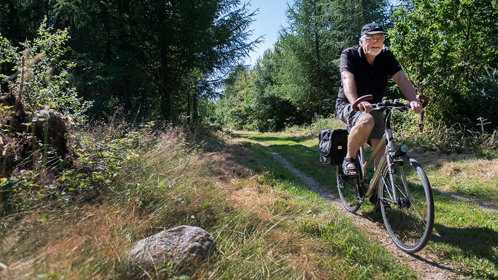 Stursbøl Plantage - den Ochsenweg Hærvejen entlang