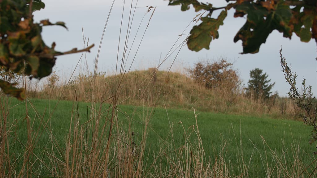 Brunhøj ved Mojbøl og Stursbøl