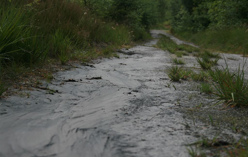 Hundsbæk Plantage, Læborg - Vejen