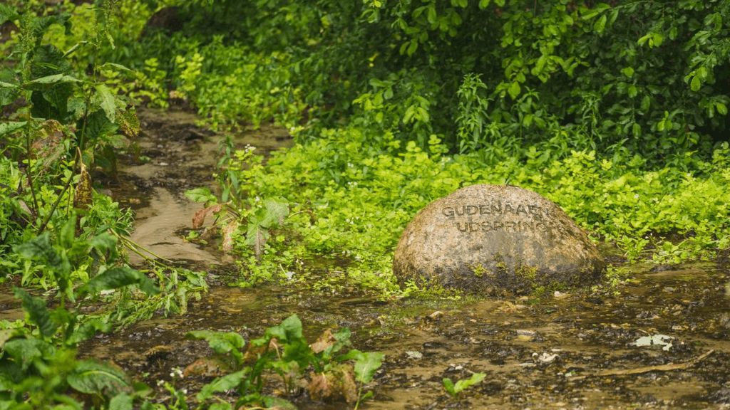 Stones in the water mark the source of the Gudenå River