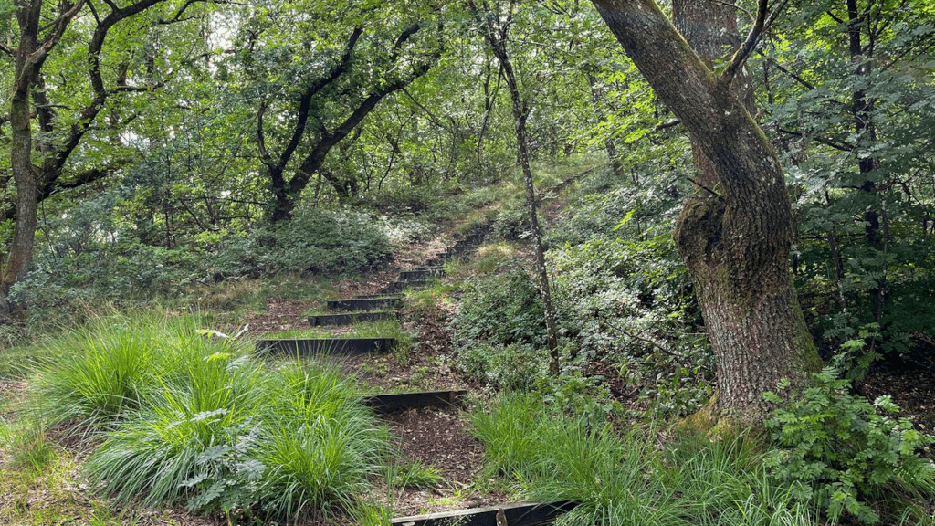 Stairs lead to the top of a hill in Tinnet Krat