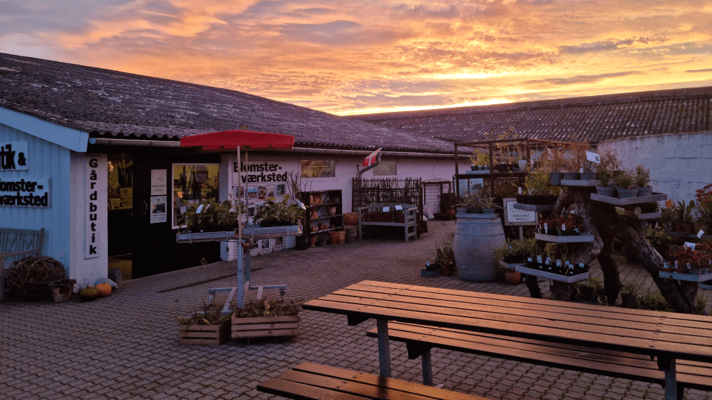 Sonnenaufgang über dem Hofladen von Tinnetgaard