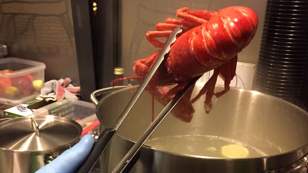 SEJD Café & Boutique