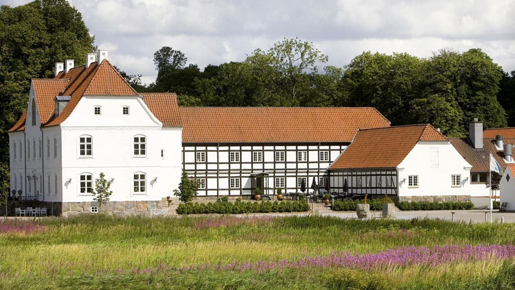 Gutshof Haraldskær mit einer schönen Wiese mit lila Blumen.