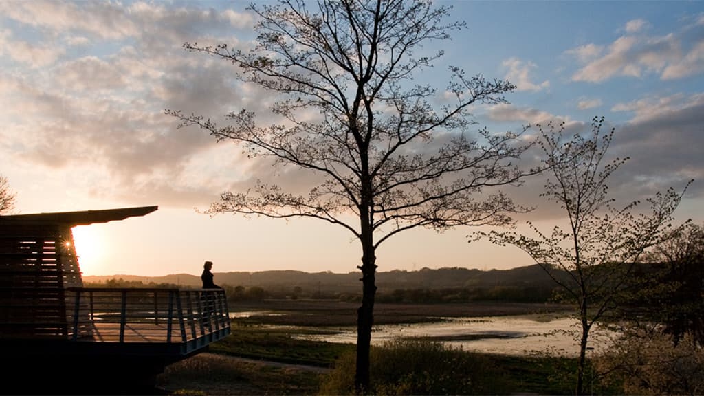 Kongens Kær wetlands, Knabberup Lake and Haraldskær Forest