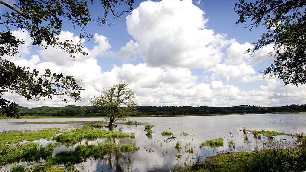 Kongens Kær wetlands, Knabberup Lake and Haraldskær Forest