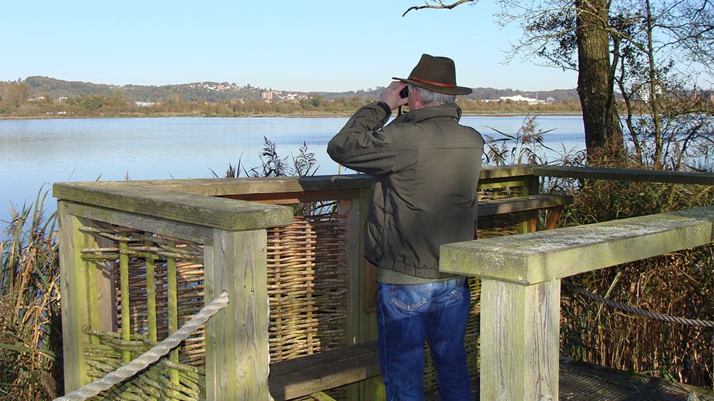 Kongens Kær wetlands, Knabberup Lake and Haraldskær Forest