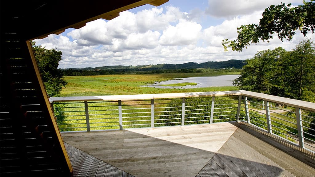 Kongens Kær wetlands, Knabberup Lake and Haraldskær Forest