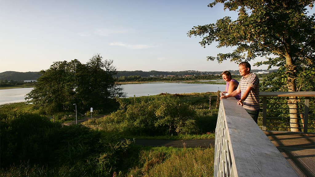 Kongens Kær wetlands, Knabberup Lake and Haraldskær Forest