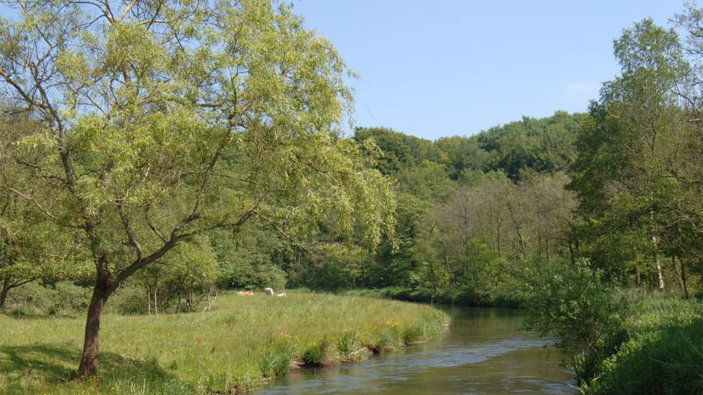 Kongens Kær wetlands, Knabberup Lake and Haraldskær Forest