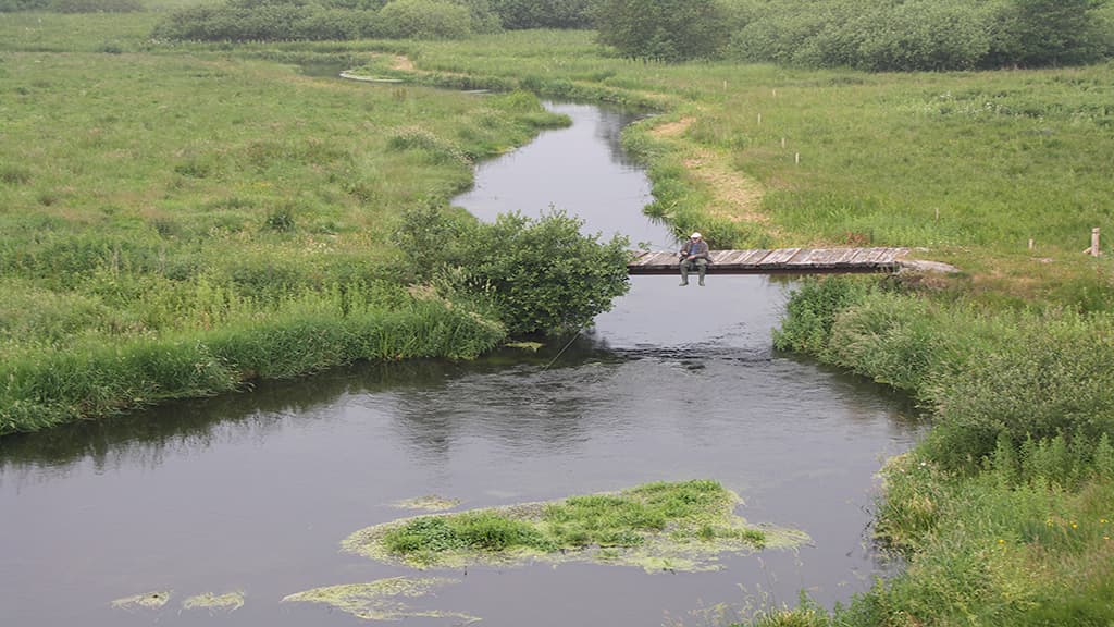 Kanufahren auf dem Fluss Simested Å