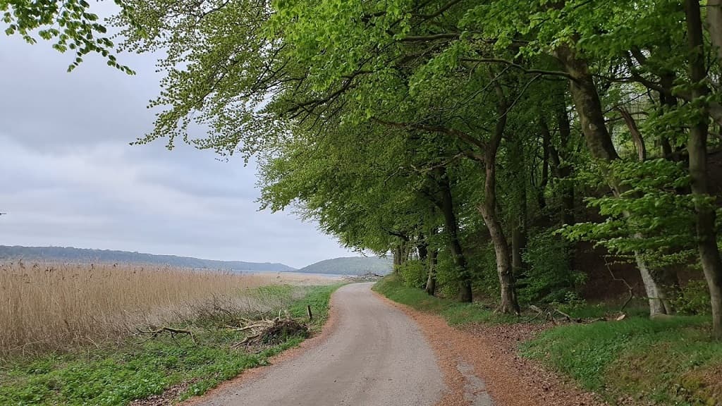 Østerskoven in Hobro