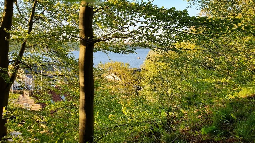 Østerskoven in Hobro