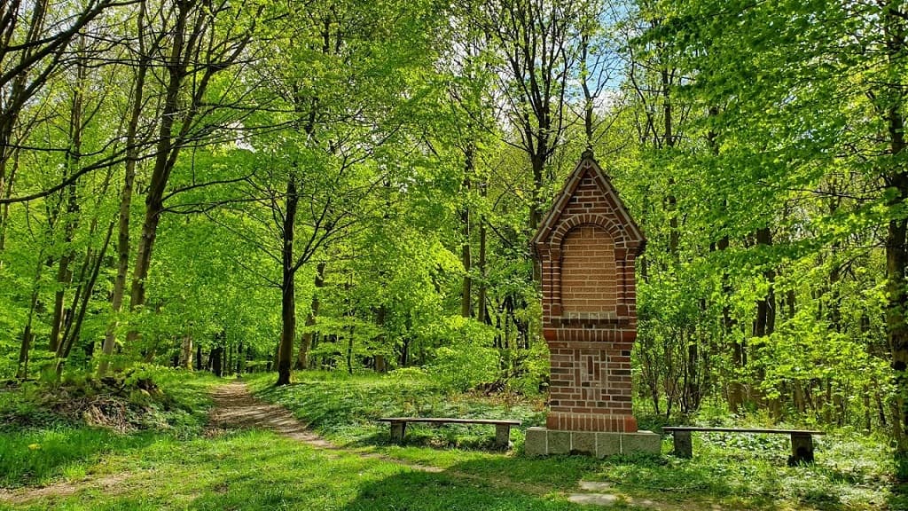 Østerskoven in Hobro