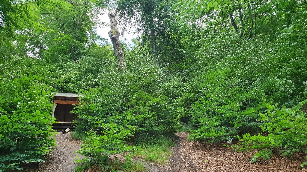 Shelterplatz bei Ørnedalsbugten, Hobro