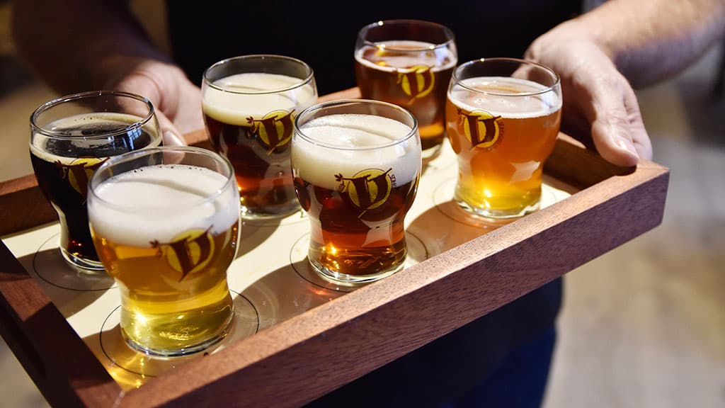 Brauerei Viborg Bryghus