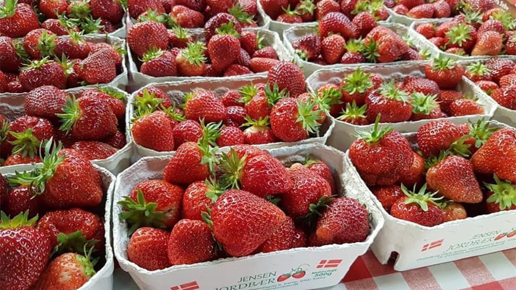 Jensen Jordbær in Sæby