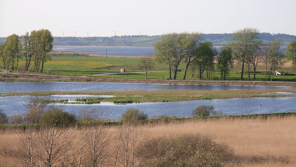 Halkær See