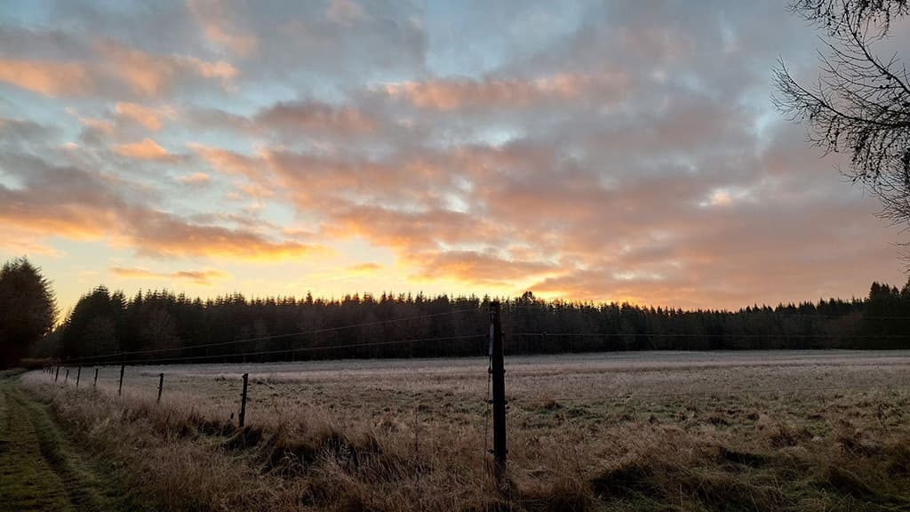 Kongsø b&b - ein Blick über die Felder