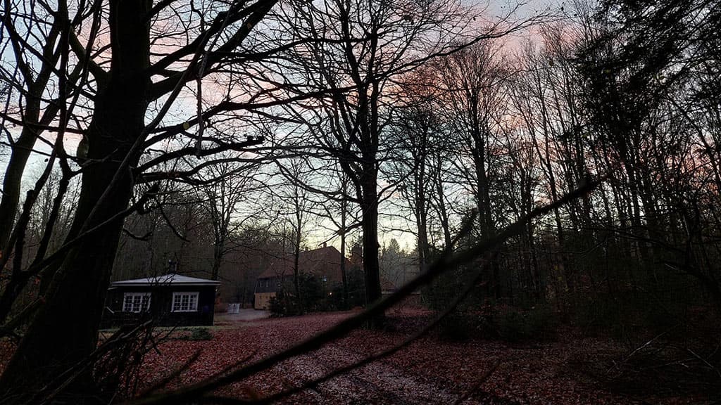 Kongsø b&b inmitten des Waldes