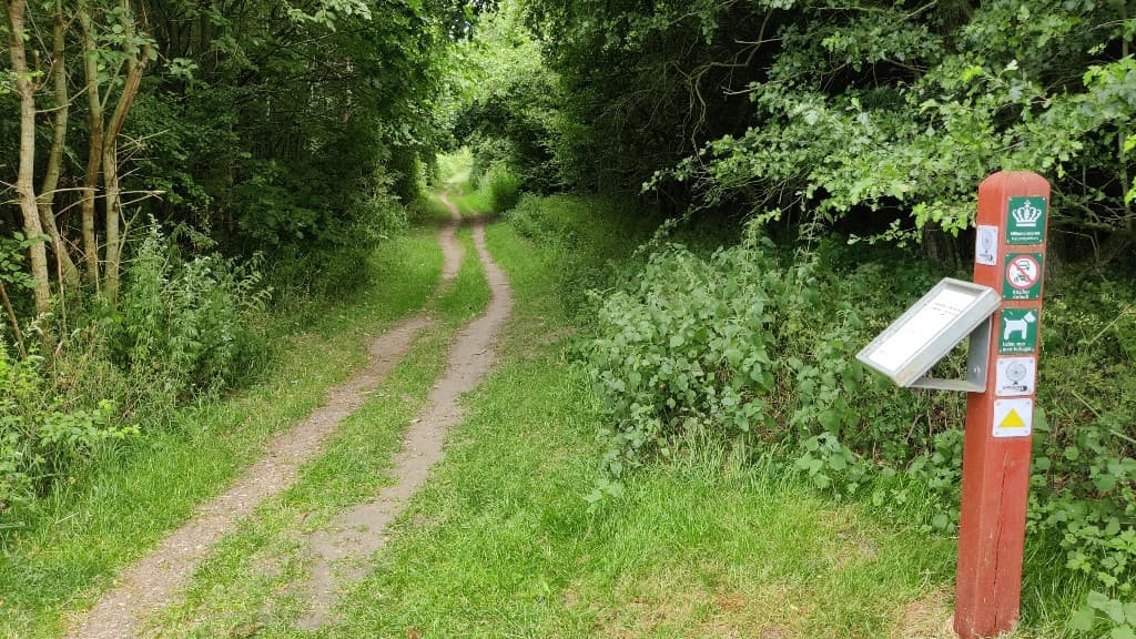 Lyreskoven Hundewald