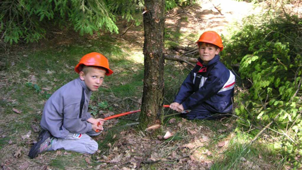 Åbjerg Skov & Kollund Skov