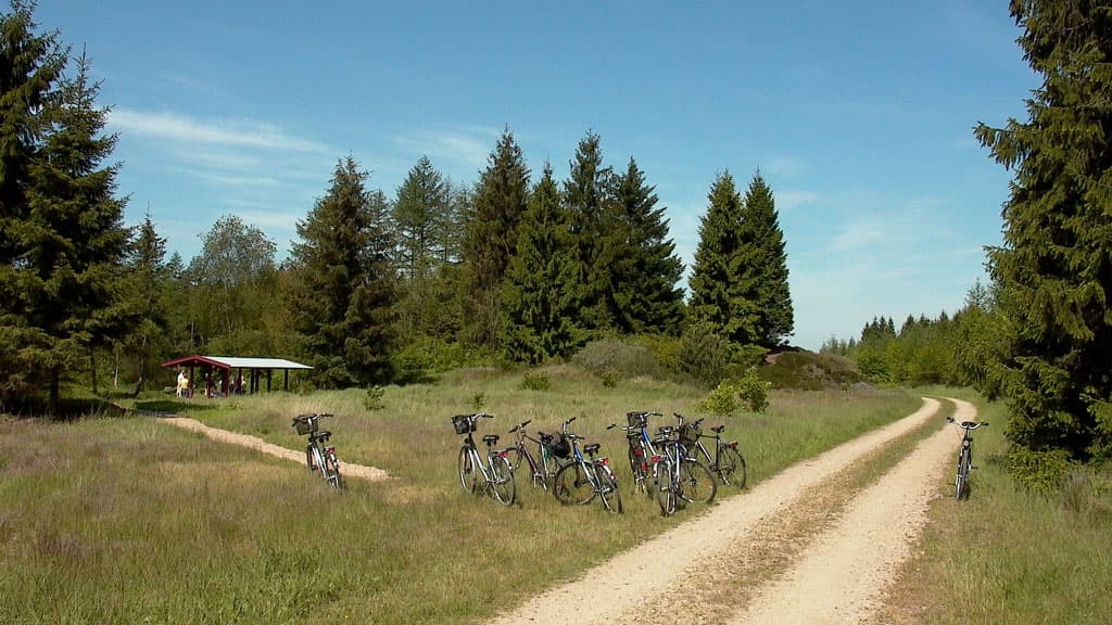 Bolderslev Wald