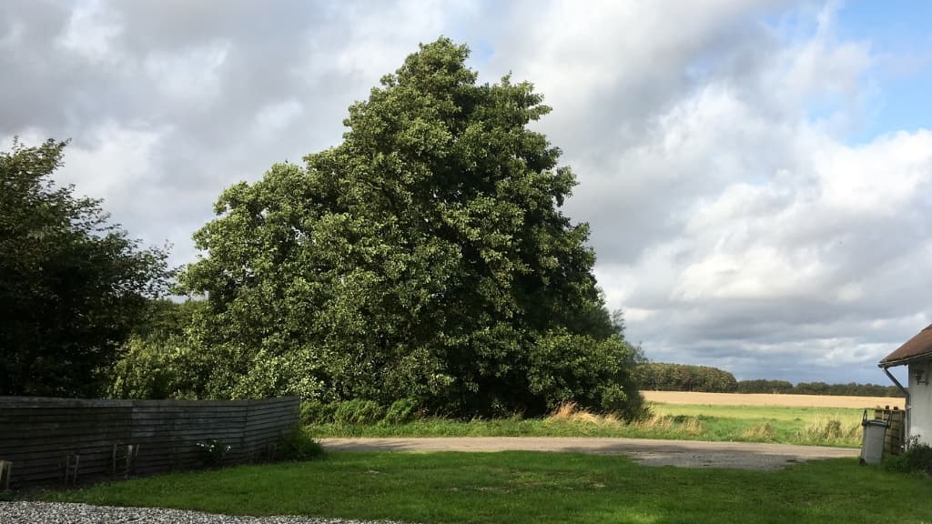 Cultural House Ellekær-Gård