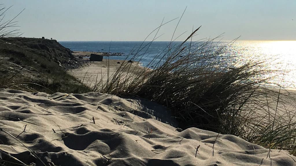 Husmoderstranden (Strand)