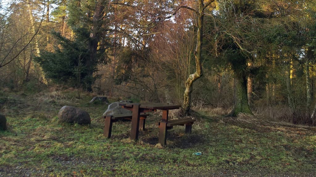 Lilleheden Klitplantage (Dünenplantage)