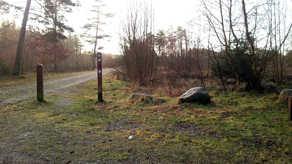 Lilleheden Klitplantage (Dünenplantage)