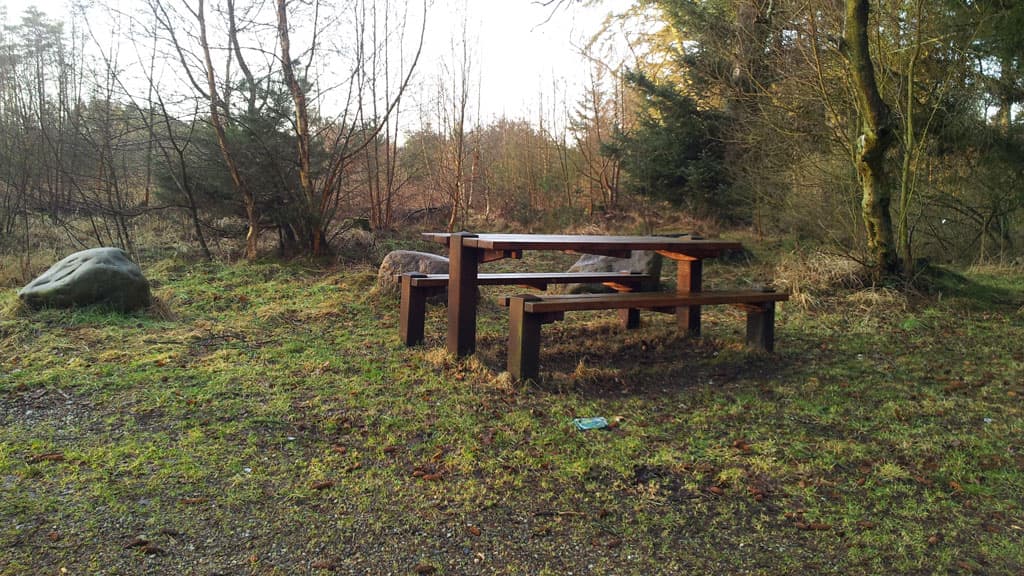 Lilleheden Klitplantage (Dünenplantage)