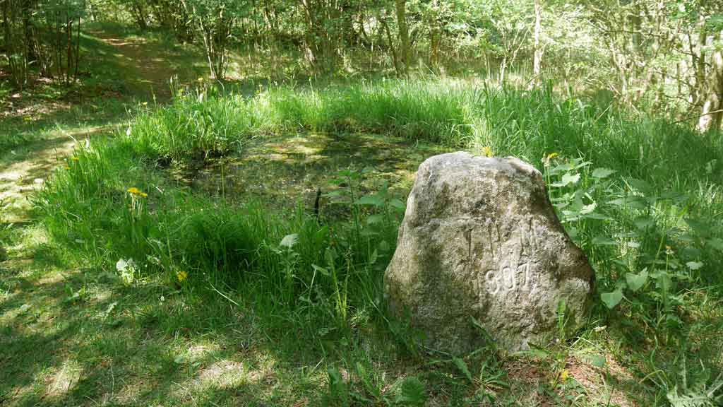 Den Asdal Helligkilde (Quelle)