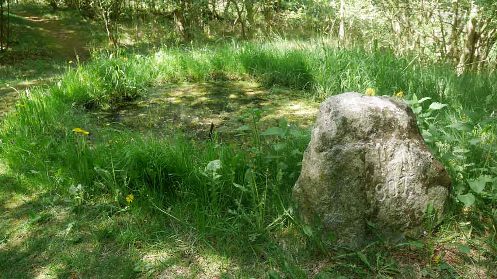 Den Asdal Helligkilde (Quelle)