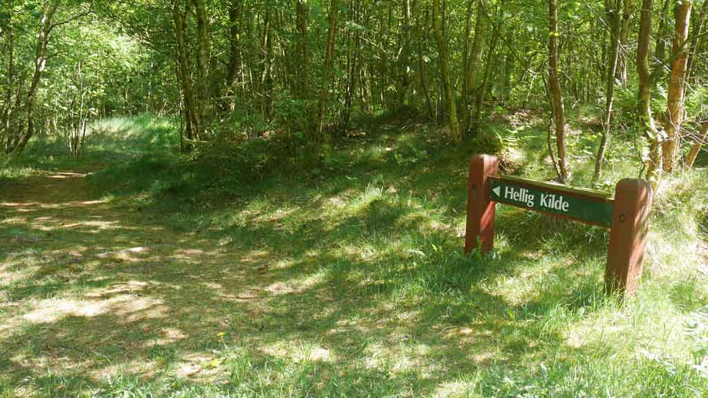 Den Asdal Helligkilde (Quelle)