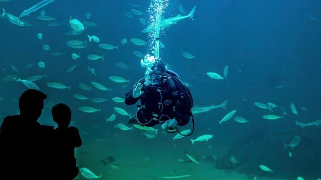 Das Nordsee Ozeanarium