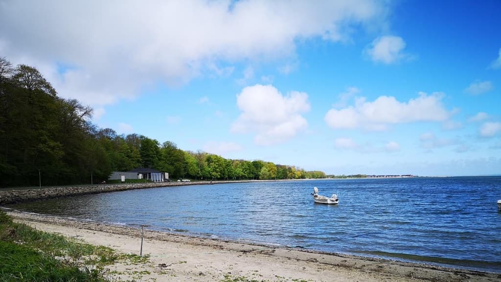Meerforelle Limfjorden - mit oder ohne Angelführer